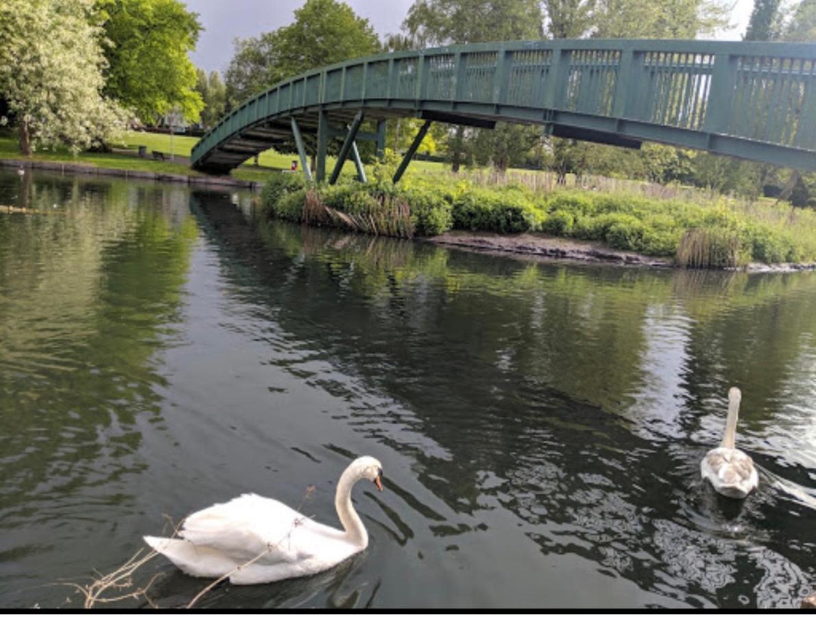 Beddington Park Lodge East Валингтон Экстерьер фото