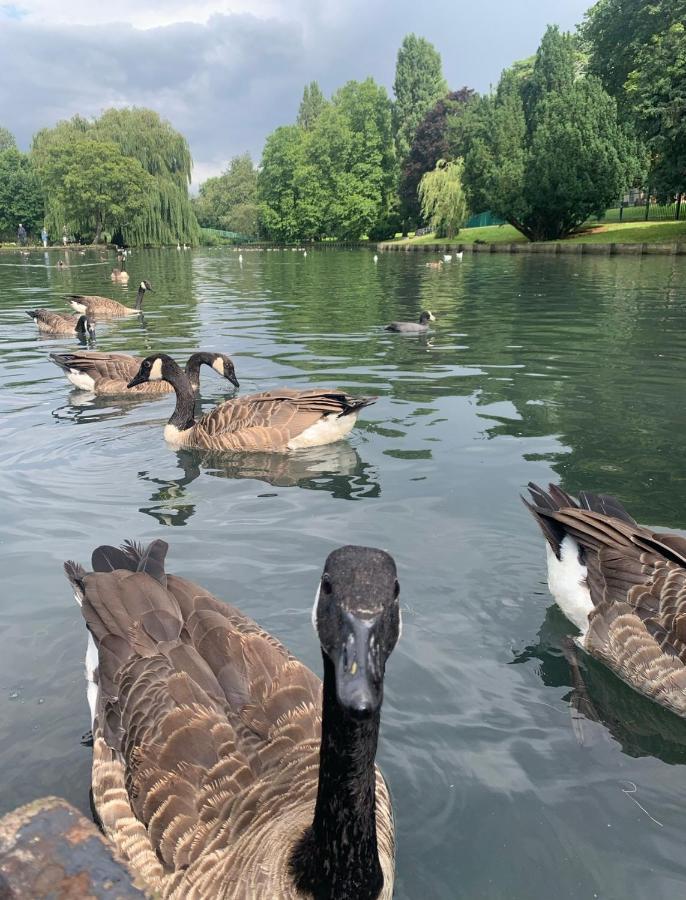 Beddington Park Lodge East Валингтон Экстерьер фото