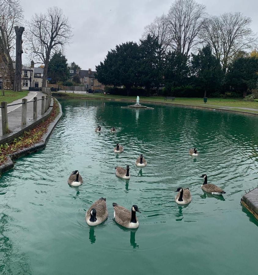 Beddington Park Lodge East Валингтон Экстерьер фото